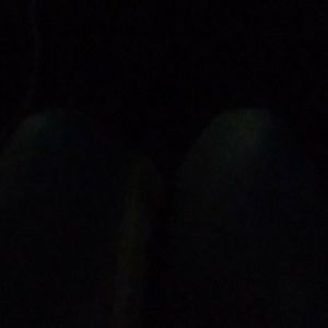 Meet your Posher, Rose